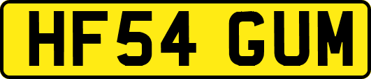 HF54GUM
