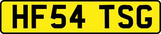 HF54TSG