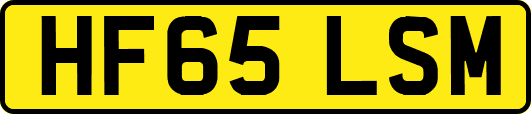 HF65LSM