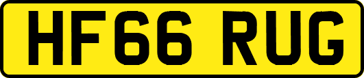 HF66RUG