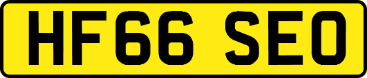 HF66SEO