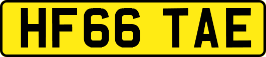 HF66TAE