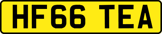 HF66TEA