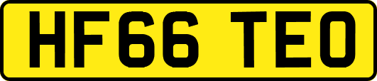 HF66TEO