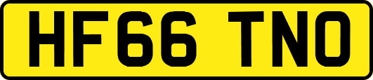 HF66TNO