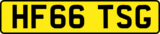 HF66TSG