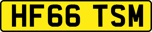 HF66TSM