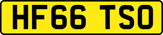 HF66TSO