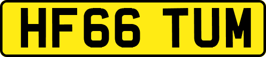 HF66TUM