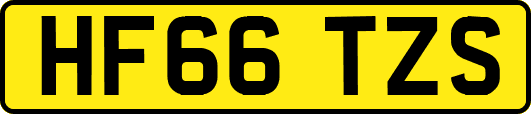 HF66TZS