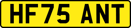 HF75ANT