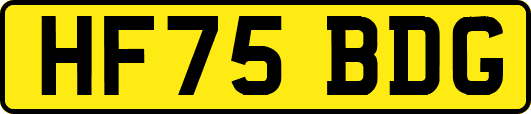 HF75BDG