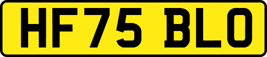 HF75BLO