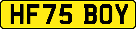 HF75BOY