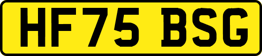 HF75BSG