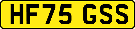 HF75GSS