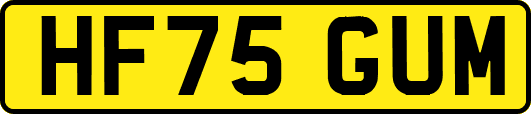 HF75GUM