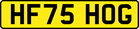 HF75HOG