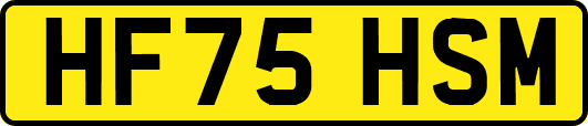 HF75HSM