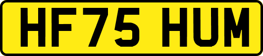 HF75HUM