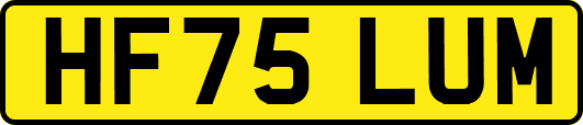 HF75LUM