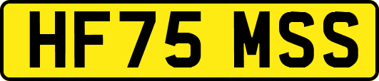 HF75MSS