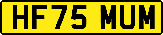 HF75MUM