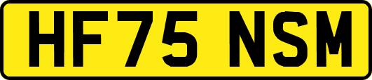 HF75NSM