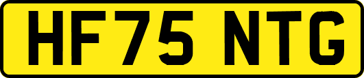 HF75NTG