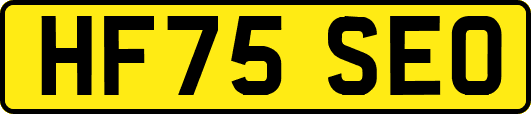 HF75SEO
