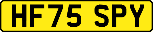 HF75SPY