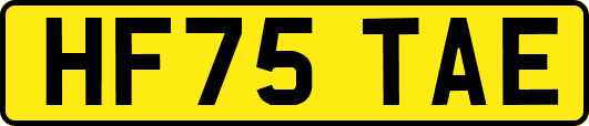 HF75TAE
