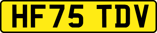 HF75TDV