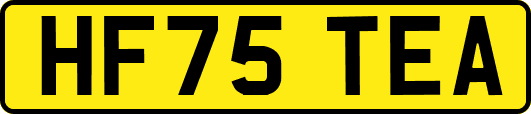 HF75TEA
