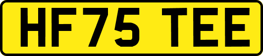 HF75TEE