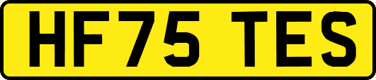 HF75TES