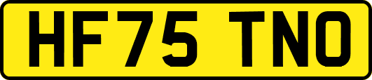 HF75TNO