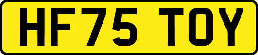 HF75TOY