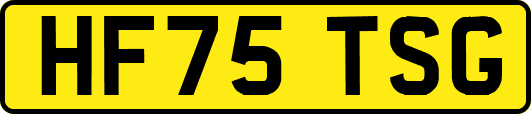 HF75TSG