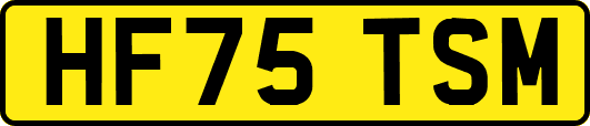 HF75TSM