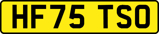 HF75TSO