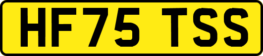 HF75TSS