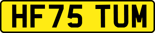 HF75TUM