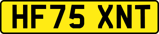 HF75XNT