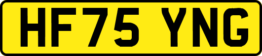HF75YNG