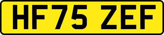 HF75ZEF