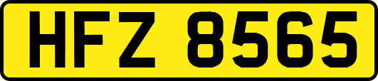 HFZ8565