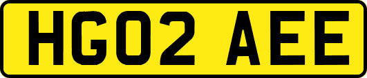 HG02AEE