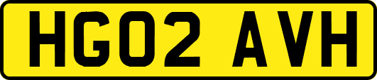 HG02AVH
