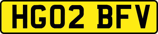 HG02BFV